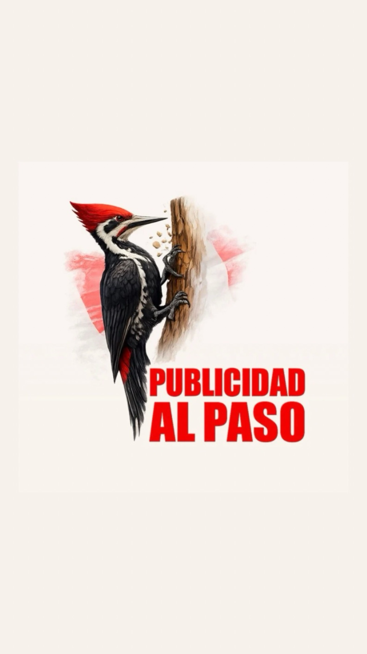 Creador de contenido